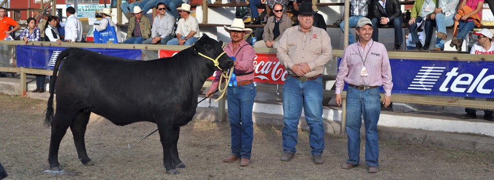 Rancho El Tarahumar Brangus