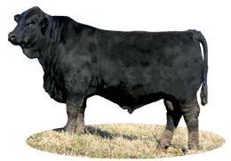 AFFIRMED 30T R10091417