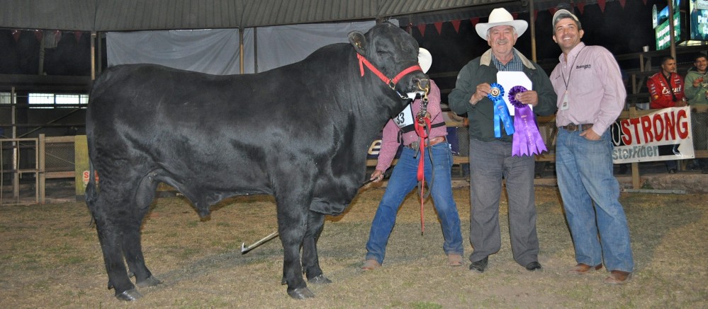 Rancho El Tarahumar Brangus