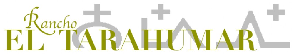 Rancho El Tarahumar Brangus