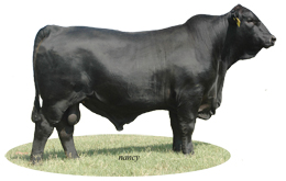 CSONKA OF BRINKS 30R4 R10004209