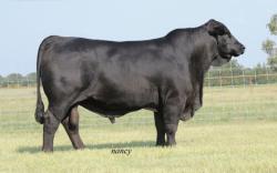 GUARDIAN 9U8U5 R10122023