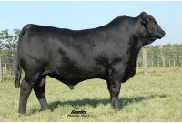 LAMBERT 317R3 R10004387