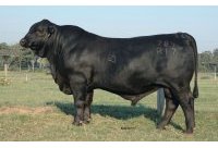 LARGENT OF BRINKS 784R17 R10035037