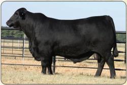 Onstar 924W4 R10154395