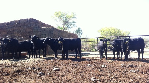 20121013-023007 p.m..jpg