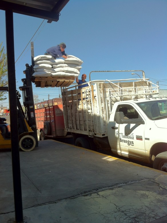 20130401-031351 p.m..jpg