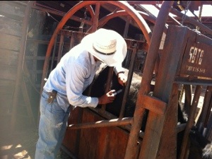 20130521-120532 p.m..jpg