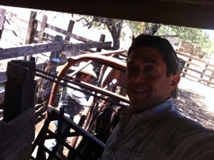 20130521-120542 p.m..jpg