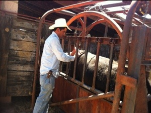 20130521-120556 p.m..jpg