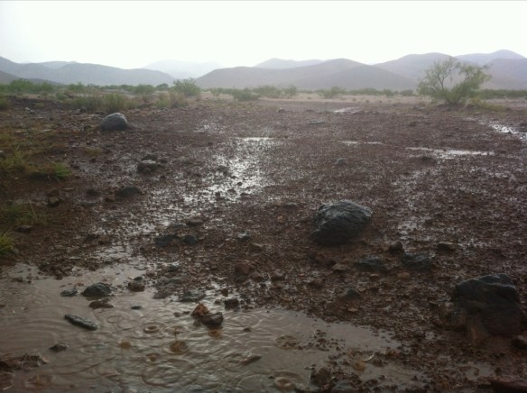 20130620-054301 p.m..jpg