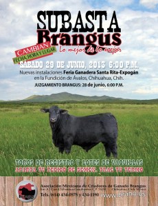 subasta mejor de lo mejor grande