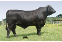 Griese of Brinks 803R27 foto R10034825