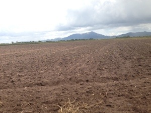 20130913-082246 p.m..jpg