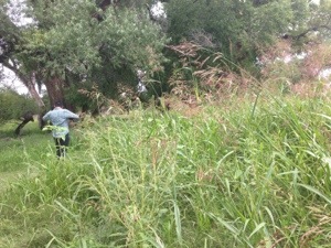 20130913-082409 p.m..jpg