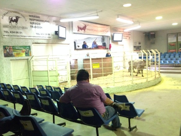 20131111-032646 p.m..jpg