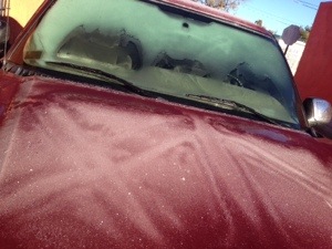 20131126-081322 a.m..jpg