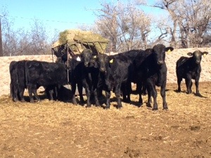 20140102-092109 a.m..jpg