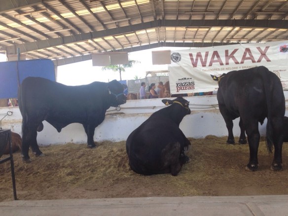 20140105-021607 p.m..jpg