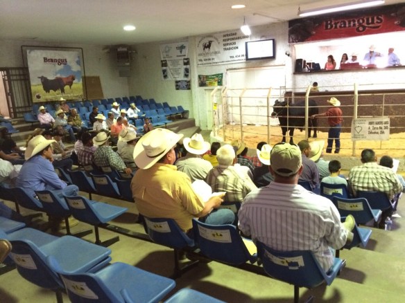 20140628-034035 p.m.-56435594.jpg