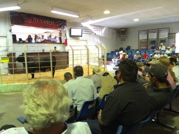 20140628-034036 p.m.-56436008.jpg