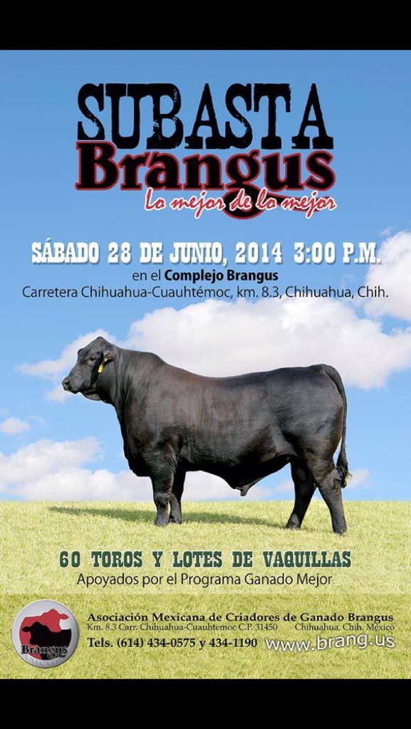 20140628-034036 p.m.-56436217.jpg