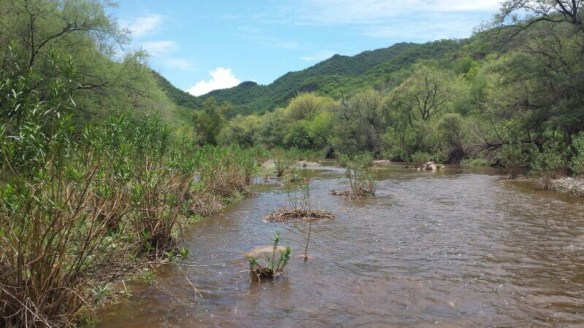 20140710-072753 p.m.-70073373.jpg