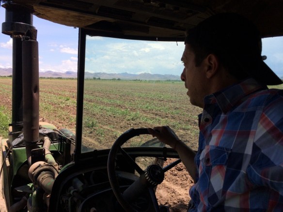 20140729-013125 p.m.-48685865.jpg