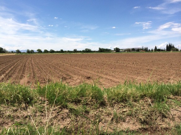 20140729-013126 p.m.-48686270.jpg