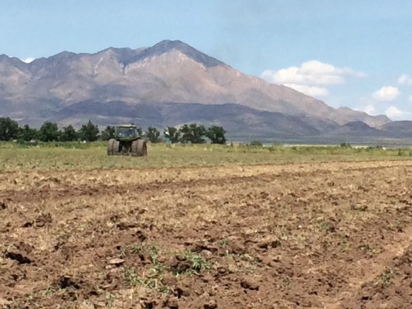 20140729-013126 p.m.-48686714.jpg