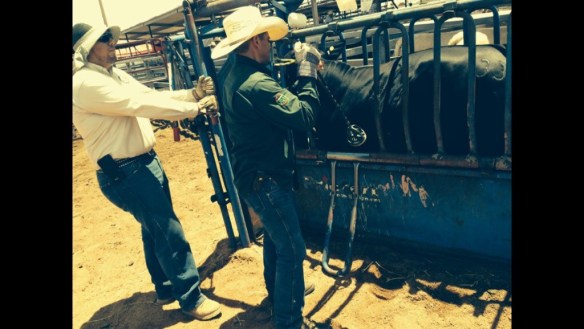 20140802-031142 p.m.-54702580.jpg