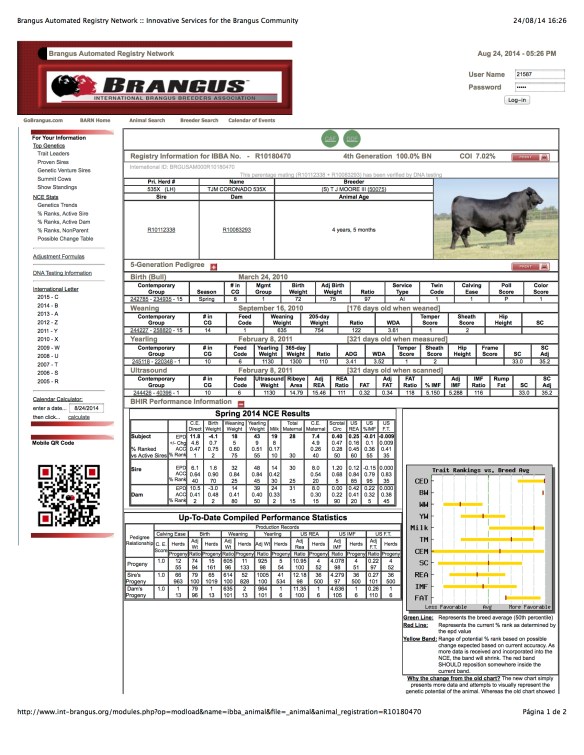CORONADO 535X R10180470