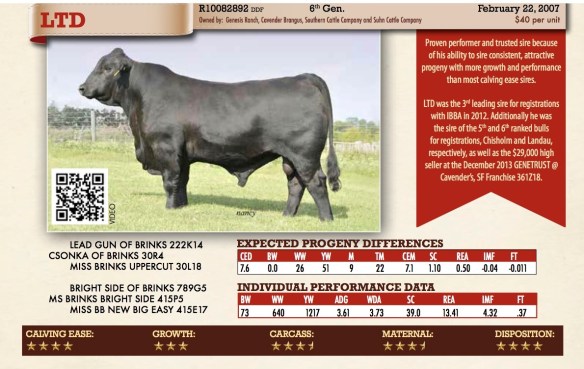 LTD OF BRINKS 415T28 R10082892