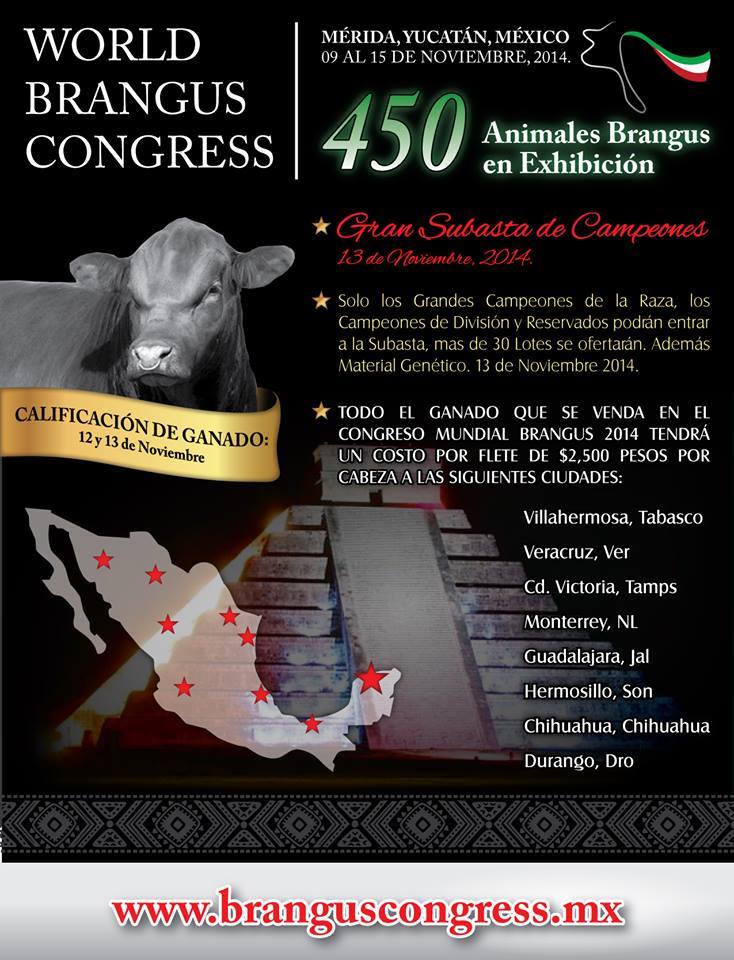 jueves 13 de noviembre 2014 congreso mundial brangus dia4