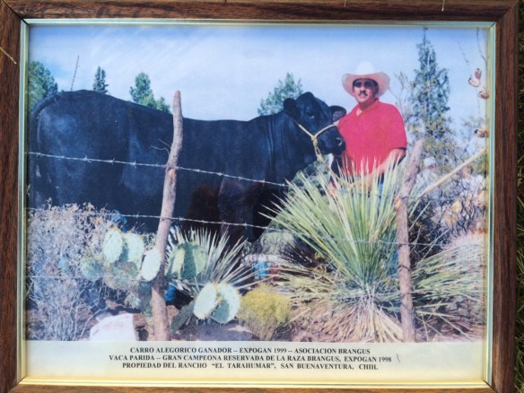 carro alegorico expogan 1999