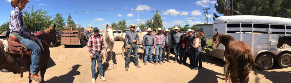 Rancho El Tarahumar Brangus