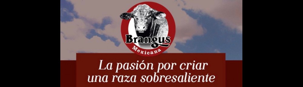 Rancho El Tarahumar Brangus