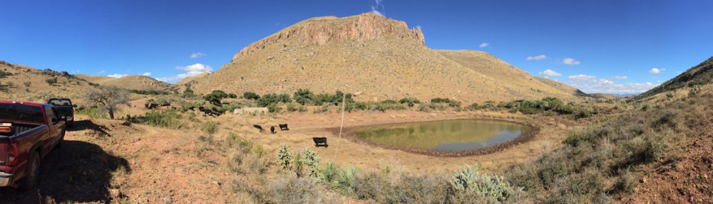 Rancho El Tarahumar Brangus
