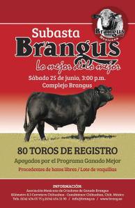 poster subasta MM 2016