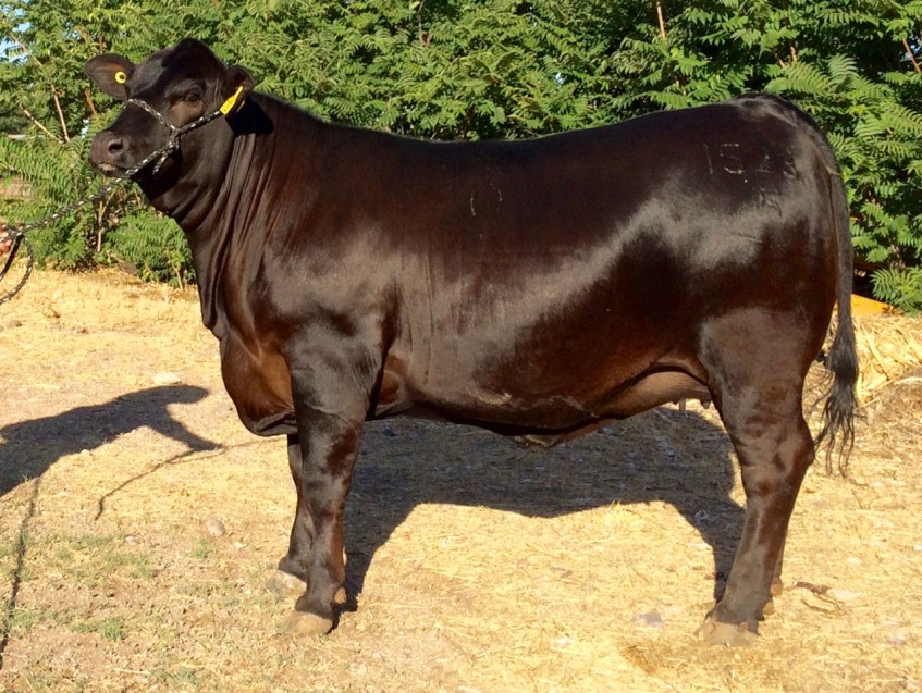 RTH Miss 648-Blackhawk 1523-5