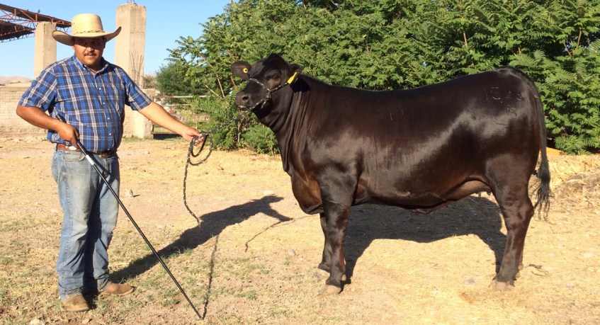 RTH Miss 648-Blackhawk 1523-5