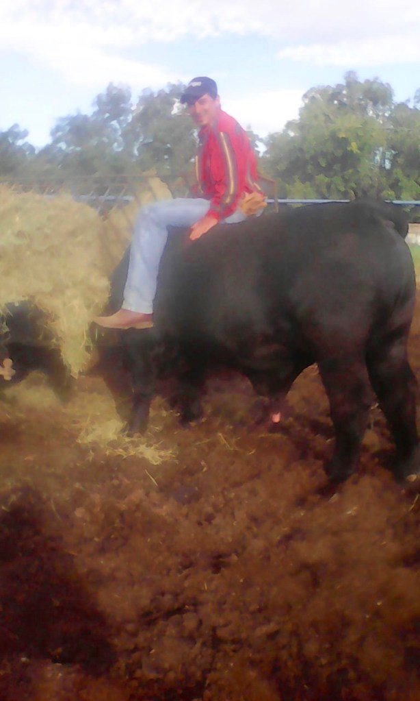 arturo echando pastura con el 551