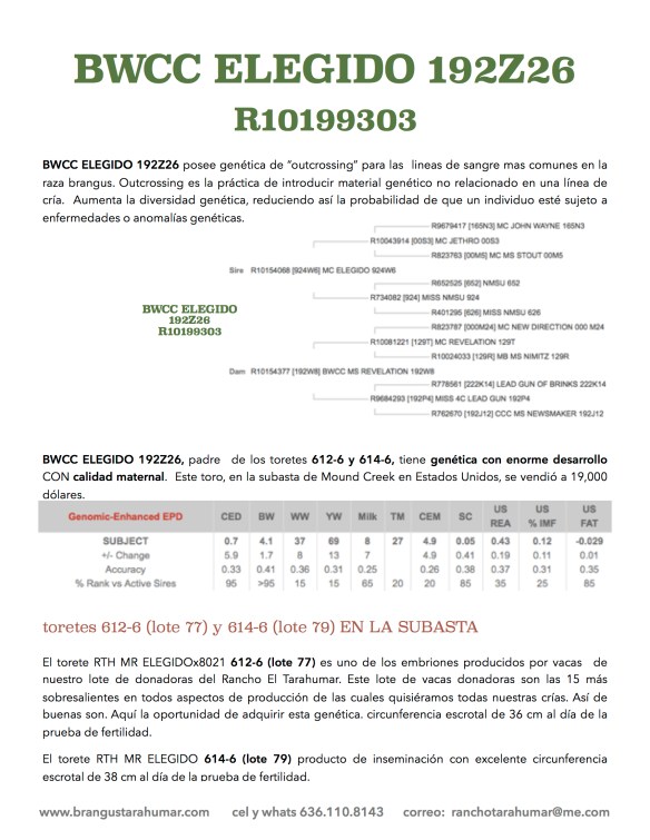 hijos de elegido atras