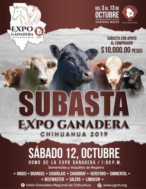 2139DC74-7FBD-4038-976E-C1868D340BA7