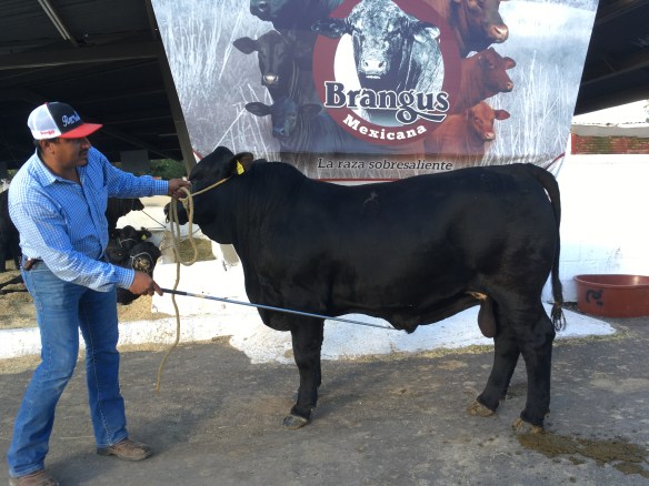 24D34804-FB71-4B38-A35E-1E8D20B38B69