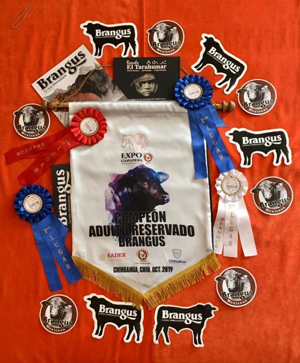 3000F64B-C79F-4372-B356-D32705B08387