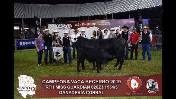 412BC6B9-E06C-44E4-88D1-3ABE1EF0A52C