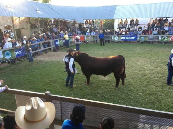 4993EA74-3B75-48E2-948A-D6720B881E40