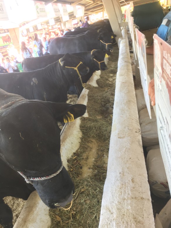 673122BD-2370-4BC0-8527-3B4891C5DB5C