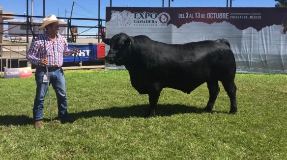 7C121253-1B6D-43EB-93B5-4AEC1012BE45